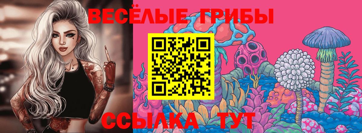 Псилоцибиновые грибы мухоморы Крымск